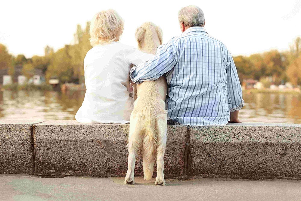 A couple sat together with a Golden Retriever Dog