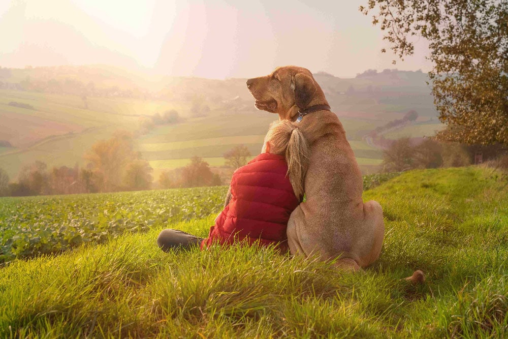 A dog and girl sit together in the countryside