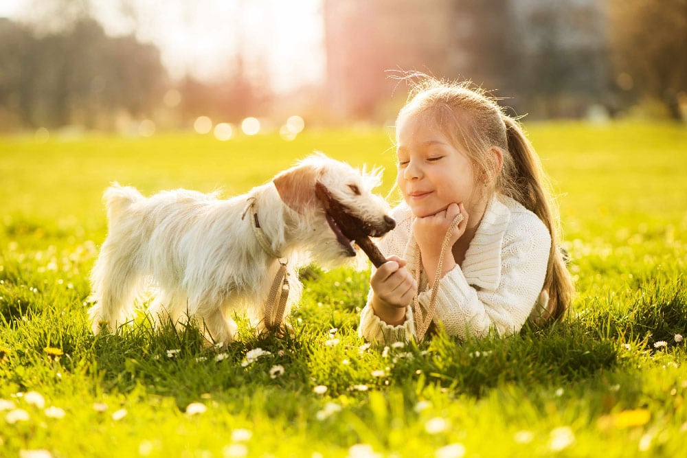A girl outdoors playing with a dog